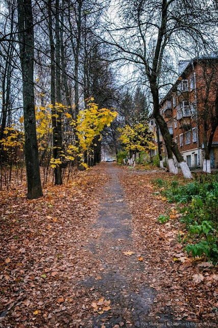 Тропа в сквере