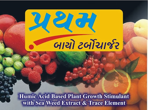 VNET, mayfair road, oppsite central bank, Anand, Gujarat 388001, India, Fruits_and_Vegetable_Exporter, state GJ