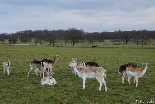 DSC00372 DSC00372