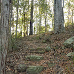 Steps on the south side of Palm Grove Nature Reserve  (370366)