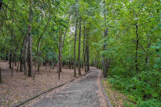 Дорожка в парке Швейцария