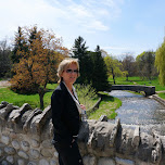 Webster's Falls in Ontario, Canada in Dundas, Canada 