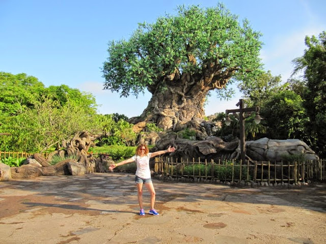 DISNEYWORLD, PLAYAS DE FLORIDA Y NAVEGANDO POR EL CARIBE - Blogs de America - ANIMAL KINGDOM Y HOLLYWOOD STUDIOS (2)