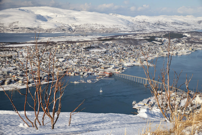 Escapada boreal a Noruega (2015) - Blogs de Noruega - Paseando por el hielo (13)