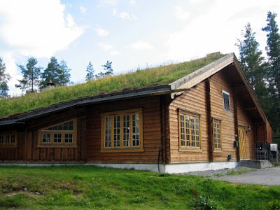 VIAJE DE BERGEN A OSLO. CASCADAS STAINDAL Y VORINGFOSSEN. - NORUEGA I. DE TRONDHEIM A OSLO. FIORDOS Y GLACIARES. (6)