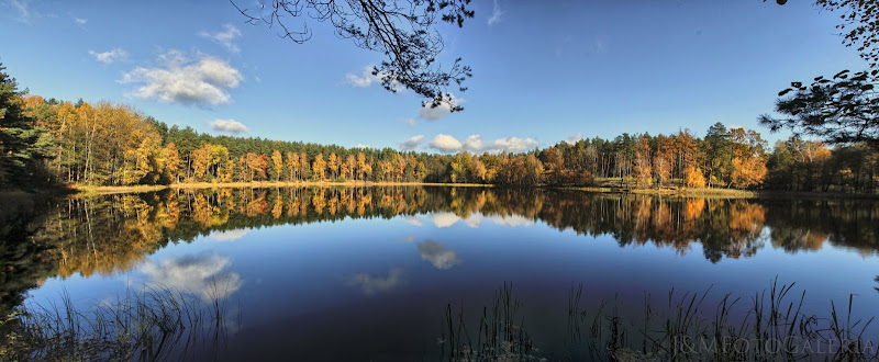 Dołączona grafika