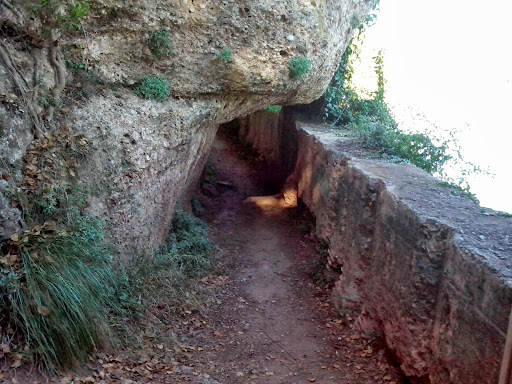 Senderismo: Vila-real - Senda del Botànic Calduch