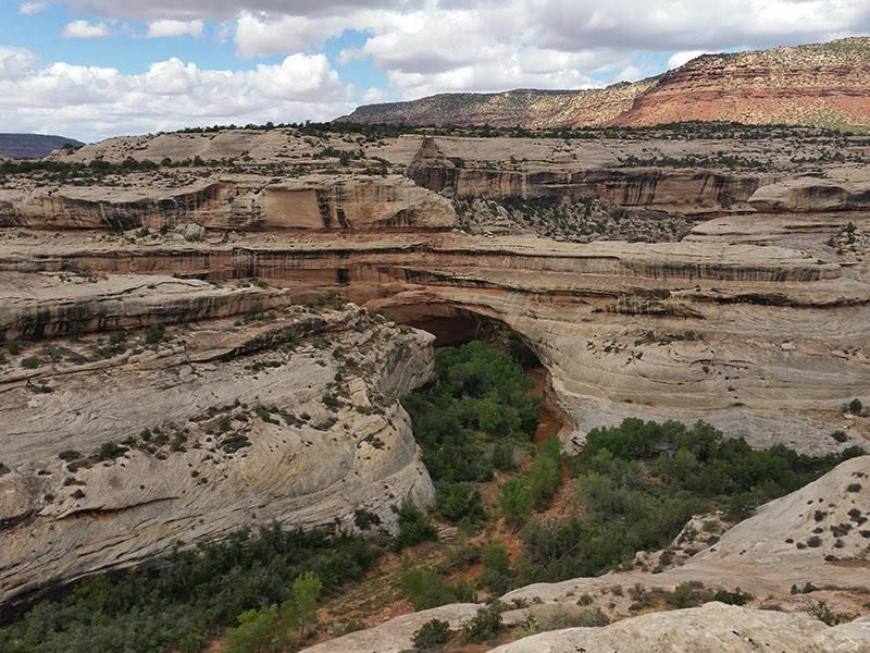 De Chicago a Las Vegas + Washington DC en solitario - Blogs de USA - Etapa 08: De Moab a Monument Valley. Natural Bridges y Muley Point (15)