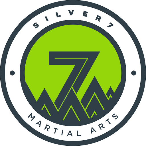 Silver 7 Martial Arts & Fitness logo