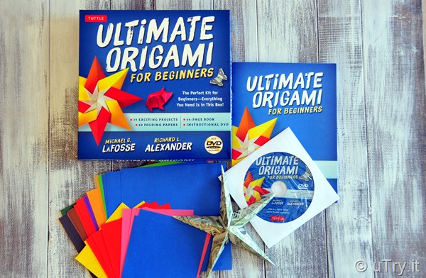 Origami Kit For Dummies