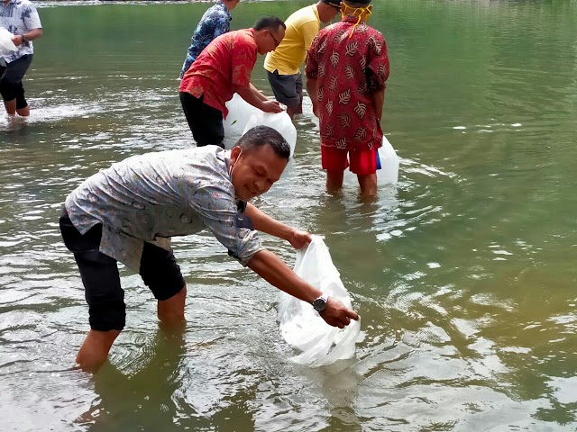 Lubuk Larangan Bokiah Jorong Padang Datar Nagari Pasilihan Dapat Bantuan 40 Ribu Bibit Ikan Gariang 