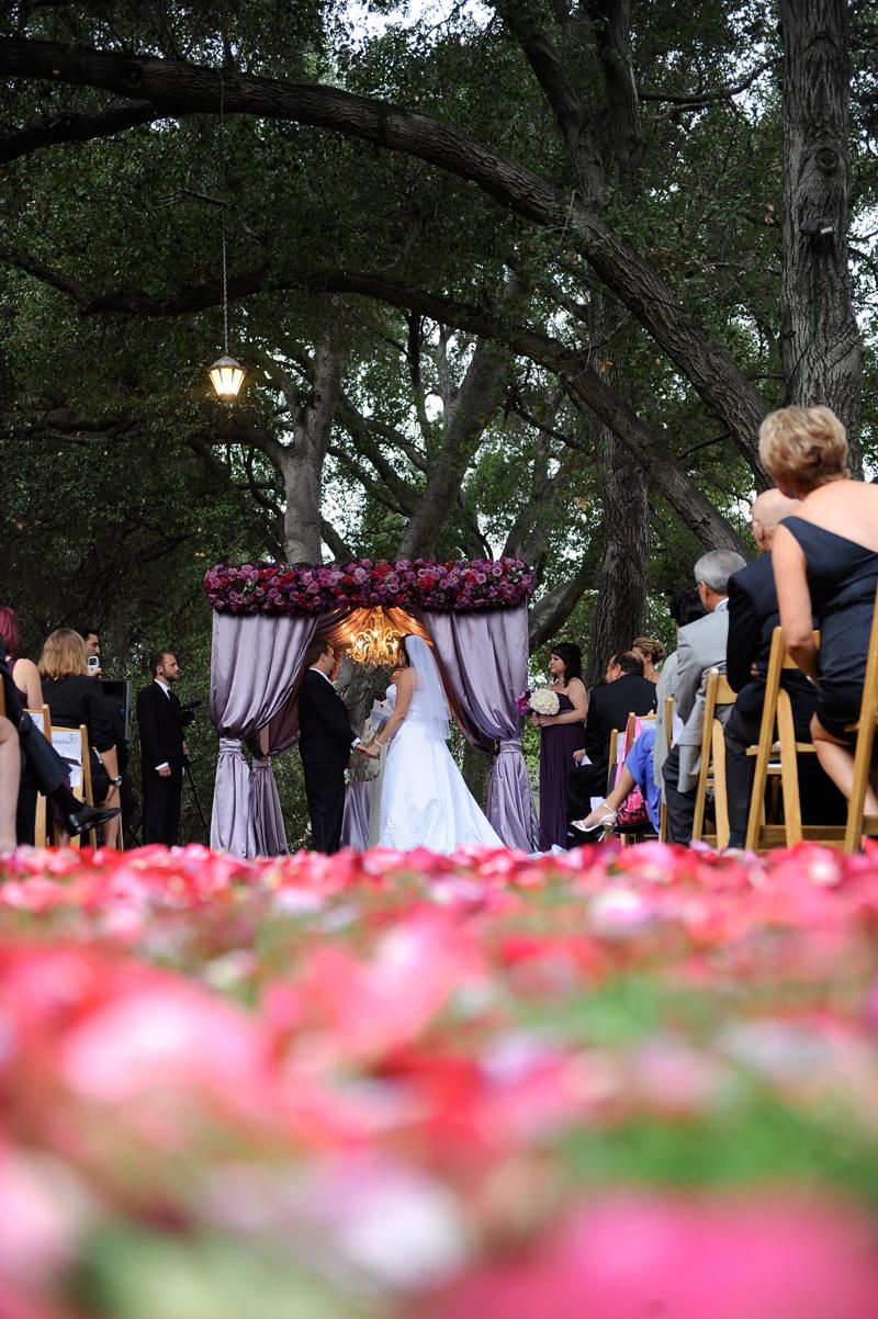 Wedding Arbor Decoration Ideas