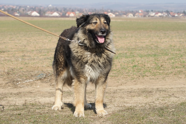 DSC02111.JPG