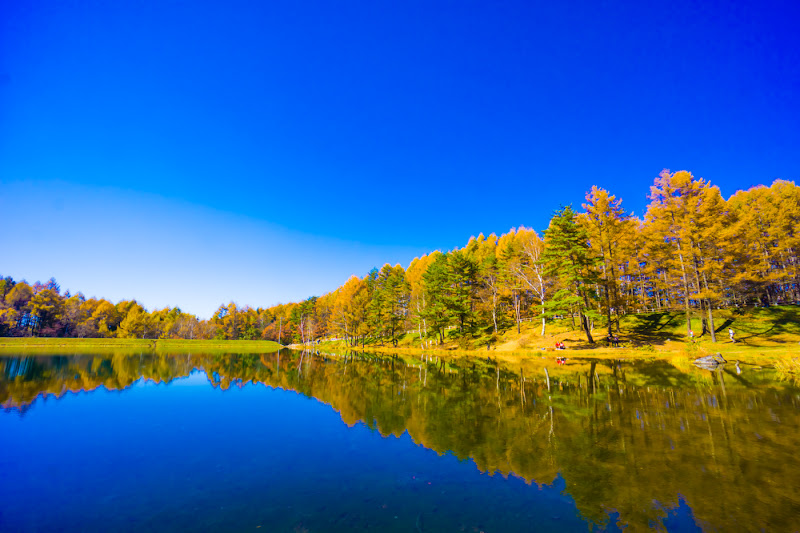 Mishaka Pond Autumn Leaves2