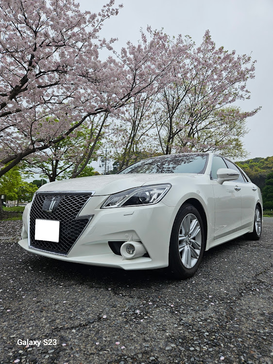 クラウンアスリートの桜コラボ・コメント不要ですに関するカスタム事例の投稿画像1枚目