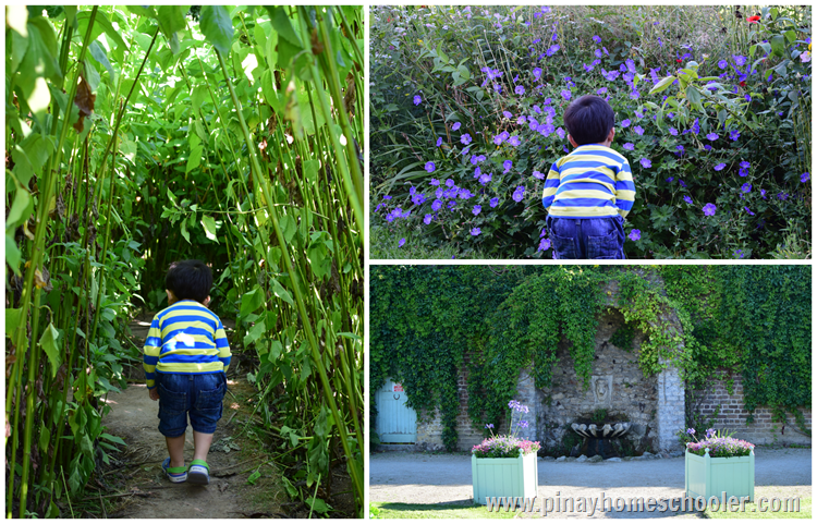 Marlay Park Walled Gardens