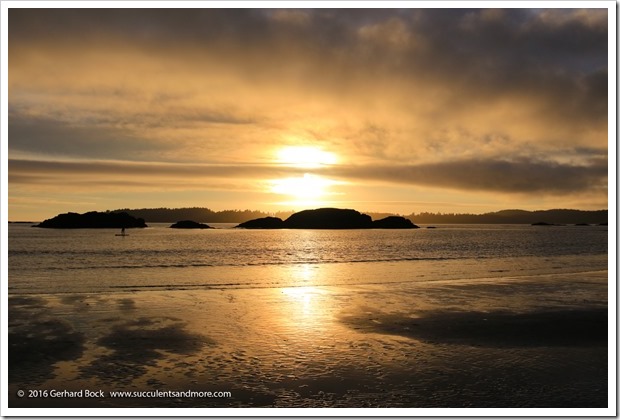 160902_Tofino_MacKenzieBeach_0030