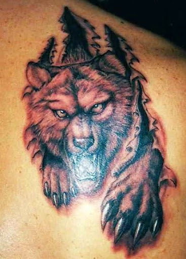 bears tattoos