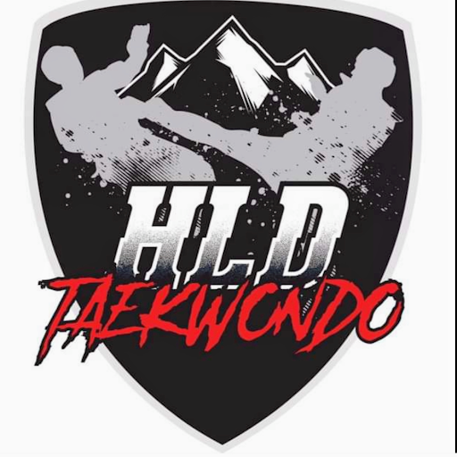 ?HLD TAEKWONDO CA? logo