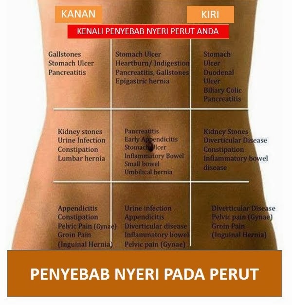 Penyebab Nyeri Perut  Dan Daftar Lengkap Obat Pencernaan 