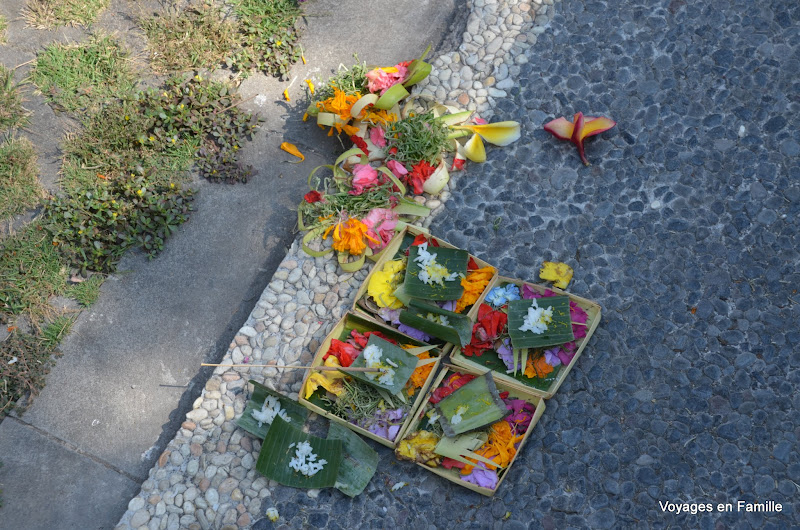 Ubud Offerings