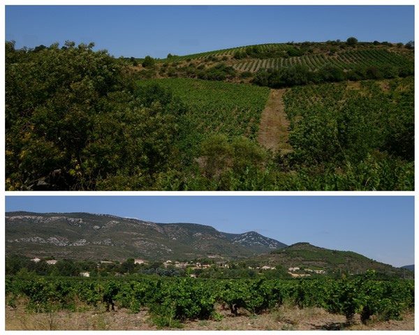 1. Narbona. Cucugnan. Castillos Queribus y Peyrepertuse. Gargantas Galamus. - De viaje por Francia: diarios, viajes y excursiones en coche. (17)