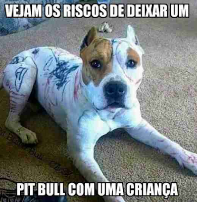 rodeio em cavalo eu naum acredito q machuca o animal naum.. mais tem  certos animais q naum são pra domar, eles vieram pra pula memo   concorda?