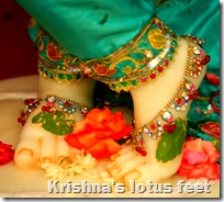 [Krishna's lotus feet]