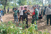 Rayakan HUT Sukabumi ke 152, Danramil 0622-13/Jampangkulon Ikut Tanam Pohon di Puncak Buluh