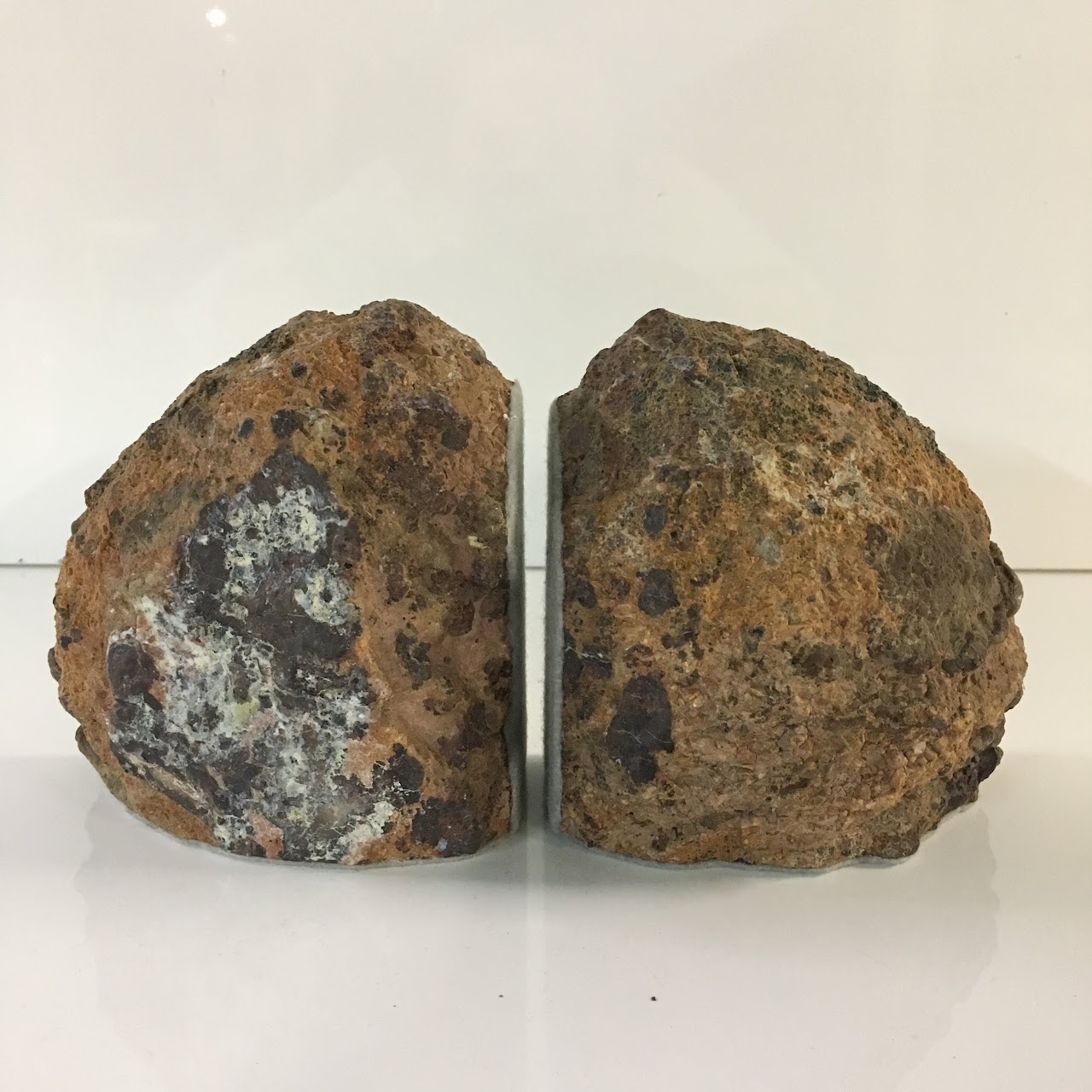 Petrified Wood Geode Pair