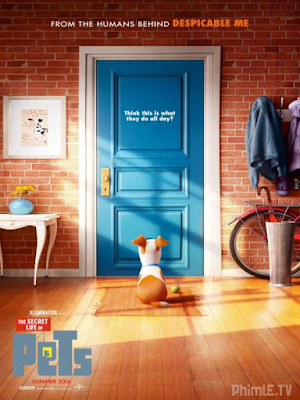 Movie Khi Chủ Vắng Nhà (thú Cưng Nổi Loạn) - The Secret Life Of Pets (2016)