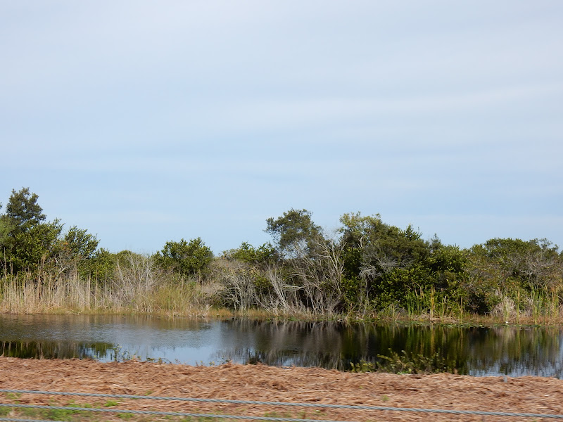 Route 41, Everglades National Park, Florida, US, Miami,  elisaorigami, travel, blogger, voyages, lifestyle