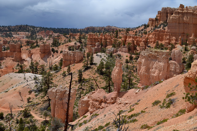 fat hoodoos down the hill