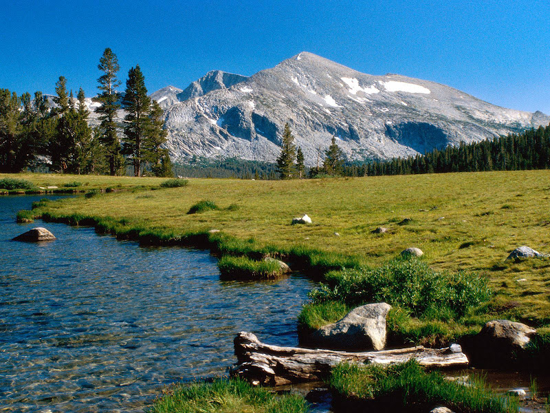 Mammoth-Peak-Yosemite-National-Park--Ca.jpg