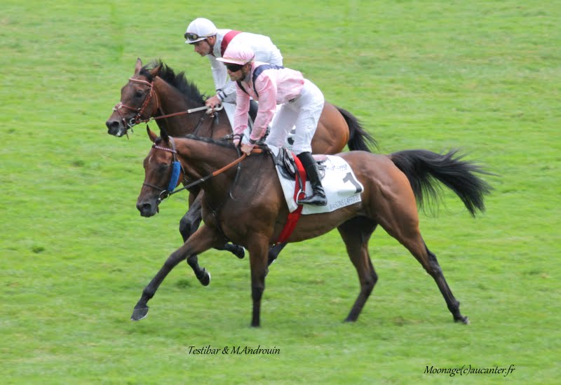 Photos Maisons-Laffitte 5-07-2015 IMG_2295