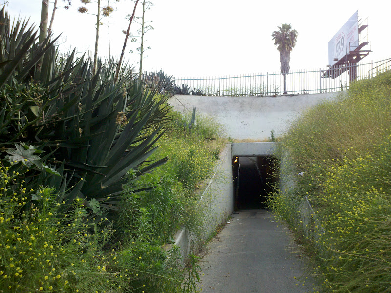 Seal Beach - Dawson Saddle - Seal Beach • Tunnel