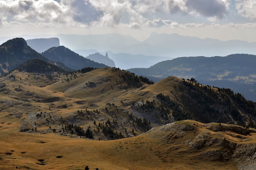 les hauts plateaux + ajouts DSC_0687