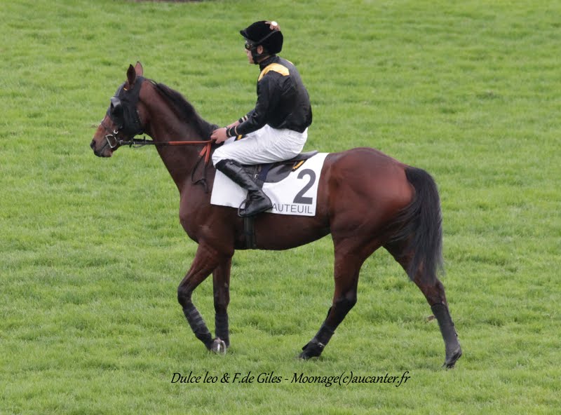 Photos Auteuil 7-11-2015 (48h de l'obstacle) IMG_6548