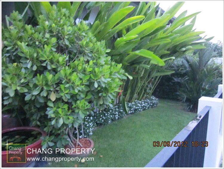 Pattaya Property : อสังหาริมทรัพย์พัทยา