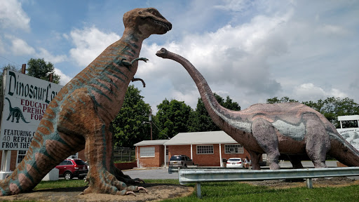 dinosaur land bluewater