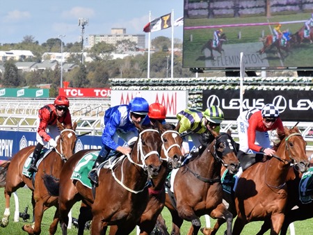 turnbull stakes_finish 16