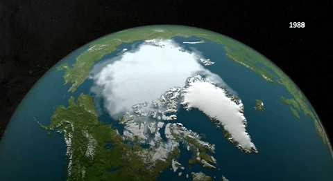 An animation showing the annual retreat of Arctic ice between 1989 and 2015. Graphic: NASA