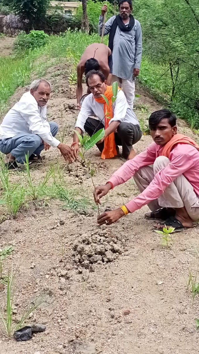 प्रगति विचारधारा फाउंडेशन के तत्वाधान में बृहद वृक्षारोपण कार्यक्रम संपन्न