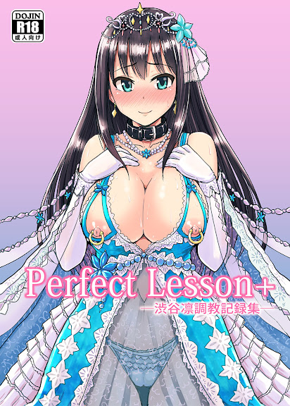 Perfect Lesson＋ -Shibuya Rin Choukyou Kirokusyu –