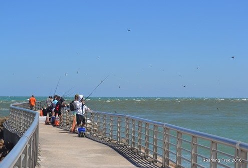 Fishing from the pier