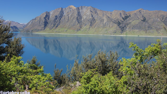 BRUCE BAY, HAAST PASS, LAGO HAWEA, WANAKA,MONTE ASPIRING Y QUEENSTOWN - NUEVA ZELANDA EN AUTOCARAVANA. UN VIAJE DE ENSUEÑO (7)