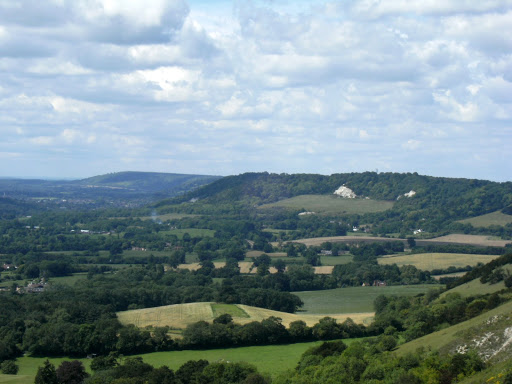 DSCF8935 View from Colley Hill