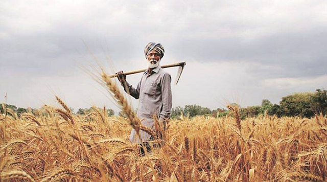 Farm reforms must be oriented towards minimising risk and increasing returns for farmers.