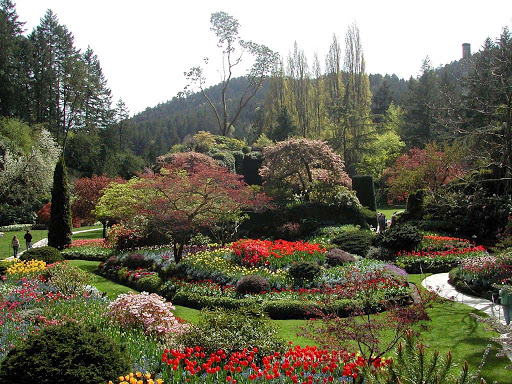 Имението на Зандър  Butchart-Gardens-Sunken-Garden-01+%25281%2529