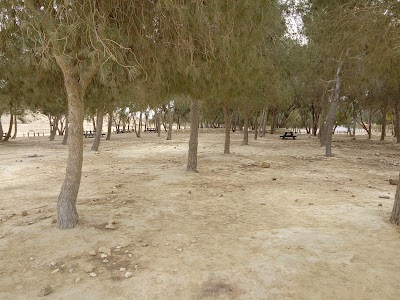 Photos of חניון הרועה